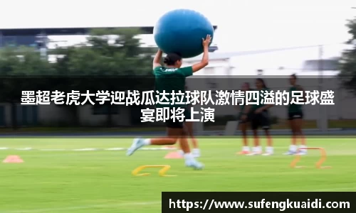 6163银河net163